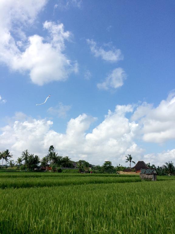 Rumah Semanggi *