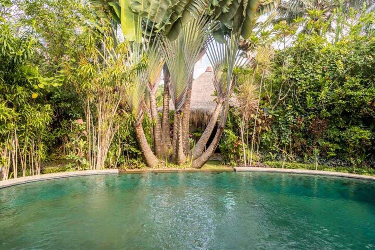 Frühstückspension Rumah Semanggi
