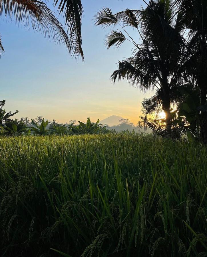 Rumah Semanggi Frühstückspension